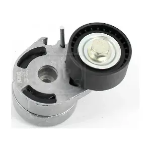 NPS M110A09