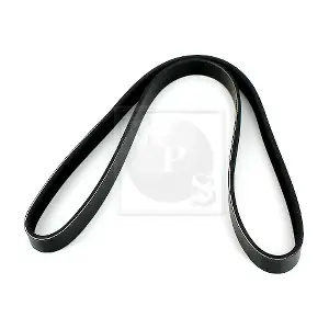 NPS M111A81