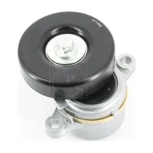 S110I08 NPS