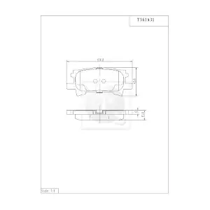 NPS T361A31