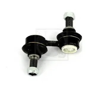 H405I21 NPS