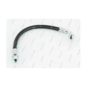 T370A255 NPS