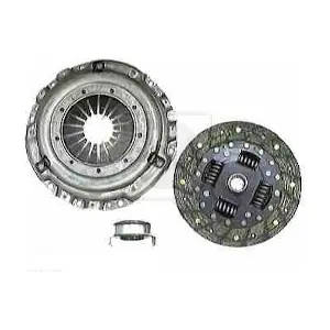 H200A110 NPS