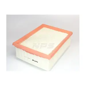 NPS P132A01