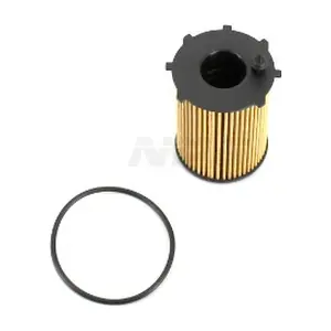 F131T01 NPS