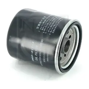 NPS T131A11