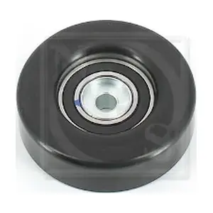 S110I09 NPS