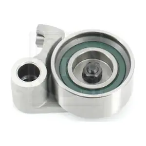 T113A60 NPS