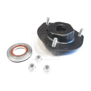 T489A43 NPS