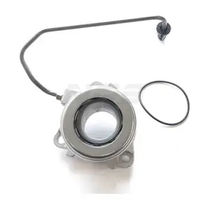 NPS D241O06