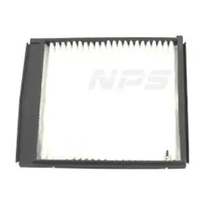 N132N11 NPS
