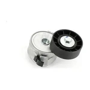 S110I17 NPS