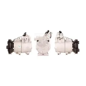 H525I21 NPS