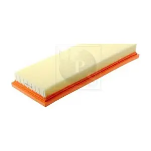 P132A02 NPS