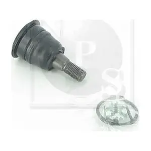 N420N25 NPS