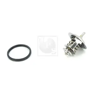 NPS T153A21