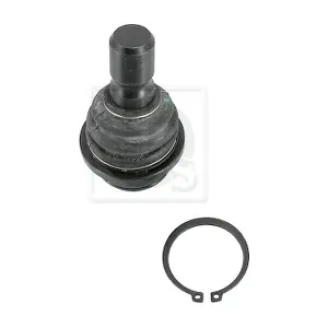 N420N136 NPS