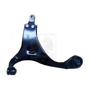 H421I63 NPS