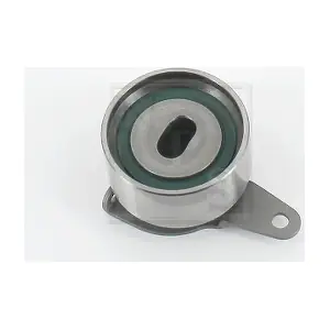 NPS H113A08