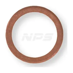 NPS BE162319-100