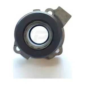 NPS D241O02