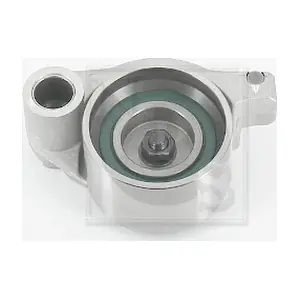 NPS T113A52