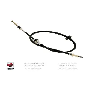 R296T01 NPS