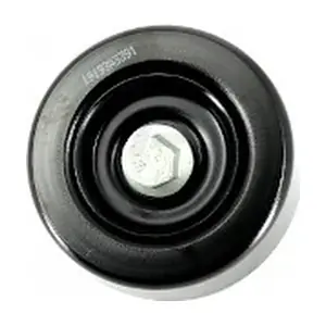 H110I06 NPS