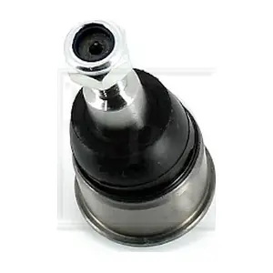 H420A98 NPS