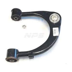 T421A161 NPS