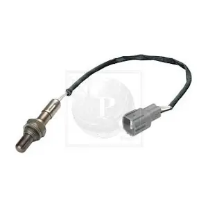 NPS T566A24