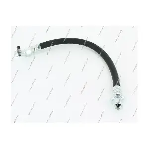 T370A254 NPS