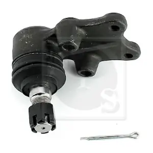 NPS O420L06
