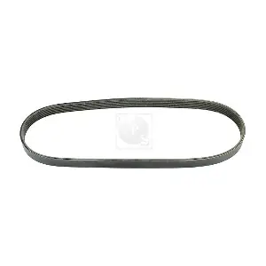 NPS T111A79