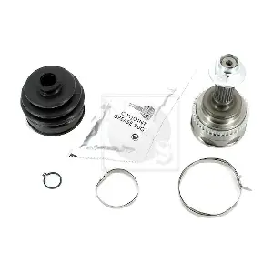 S281I25 NPS