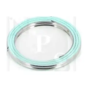 NPS T433A16