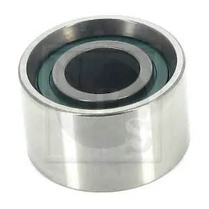 NPS T113A21B