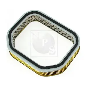 H132A19 NPS