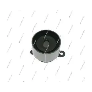 H113A06 NPS