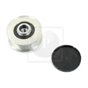 T515A163 NPS