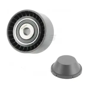 NPS R110T01