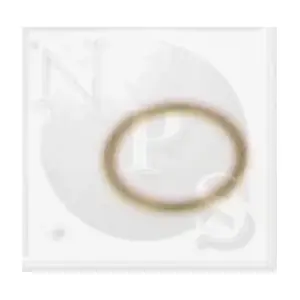 NPS M129A06
