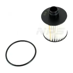 F131T206 NPS