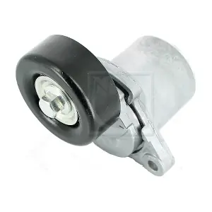 H110I00 NPS