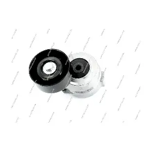 H110I01 NPS