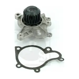 H151I10 NPS
