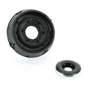 NPS R489T01