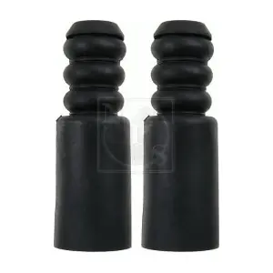 NPS R488T01