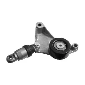 NPS T110A10