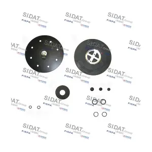 81135 FISPA